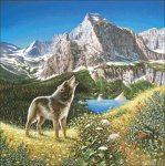 (image for) Alpine Chorus